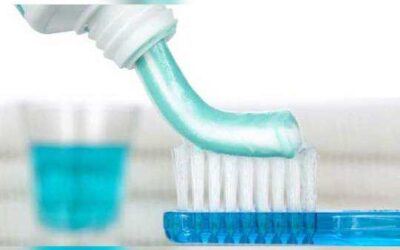 मैत्री दिवस