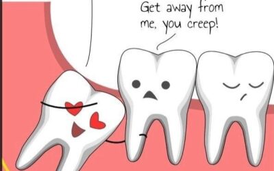 अक्कलदाढ आणि अपेंडिक्स: भाग २